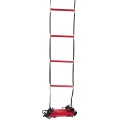 Wilson Training ladder